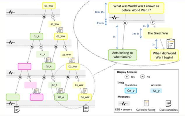 Diagram of task used in study