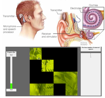 Example of neurofeedback setup